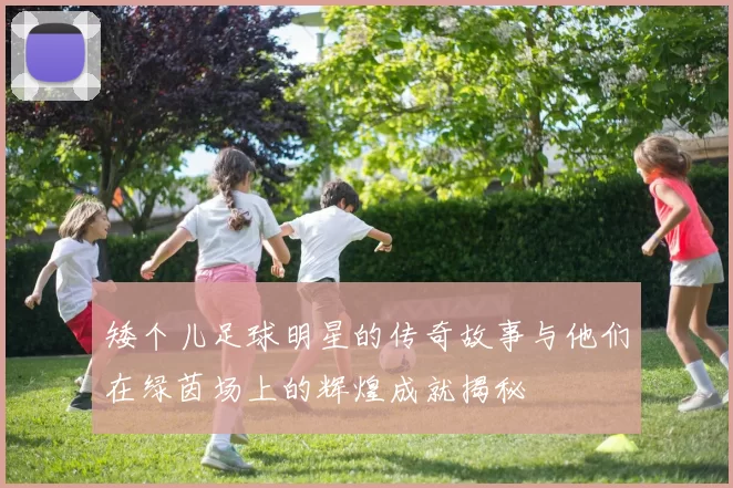 矮个儿足球明星的传奇故事与他们在绿茵场上的辉煌成就揭秘