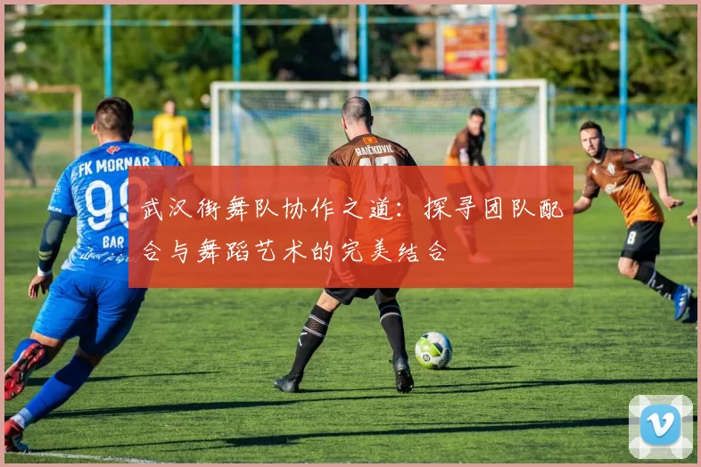 武汉街舞队协作之道：探寻团队配合与舞蹈艺术的完美结合