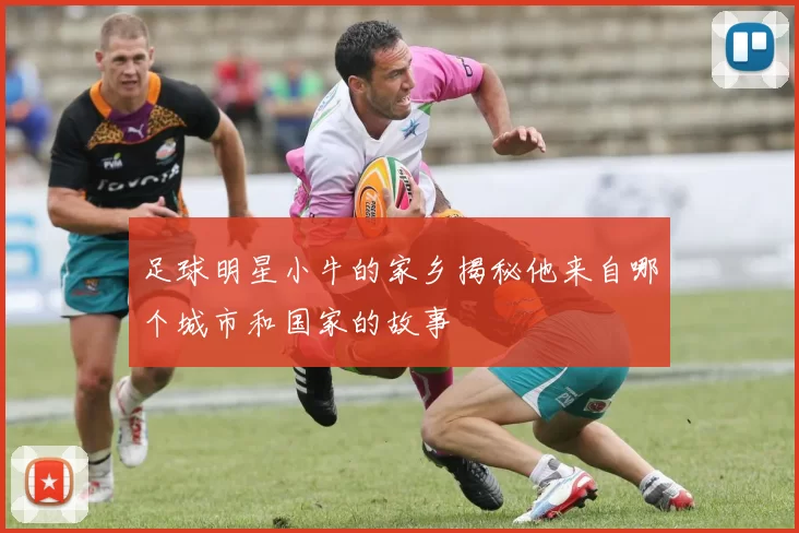 足球明星小牛的家乡揭秘他来自哪个城市和国家的故事