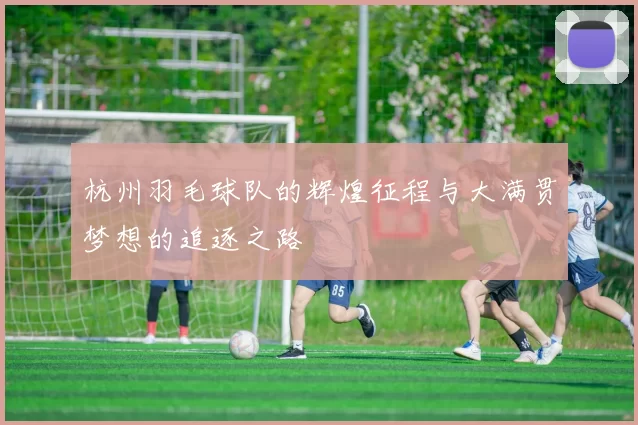 杭州羽毛球队的辉煌征程与大满贯梦想的追逐之路