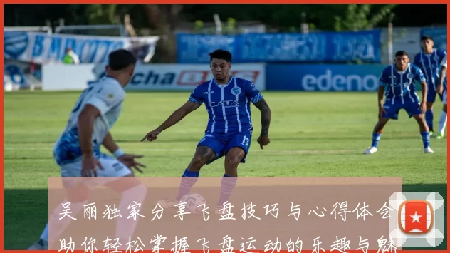 吴丽独家分享飞盘技巧与心得体会助你轻松掌握飞盘运动的乐趣与魅力