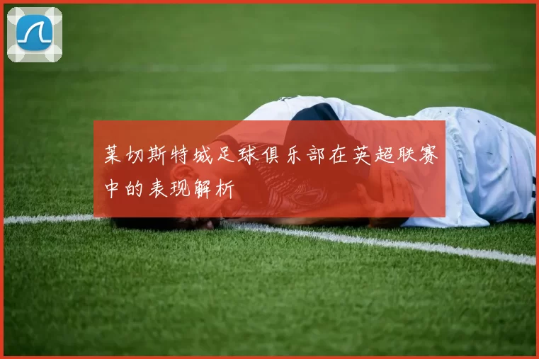 莱切斯特城足球俱乐部在英超联赛中的表现解析