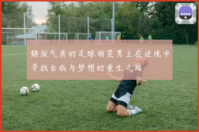 颓废气质的足球明星男主在逆境中寻找自我与梦想的重生之路