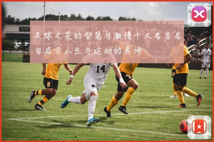 足球之星的智慧与激情十大名言名句启示人生与运动的真谛