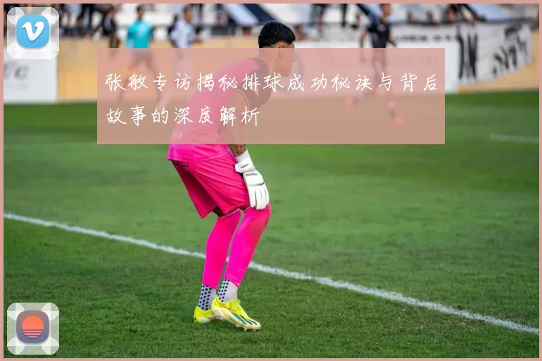 张敏专访揭秘排球成功秘诀与背后故事的深度解析