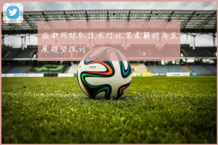 成都网球队技术对比深度解析与发展趋势探讨