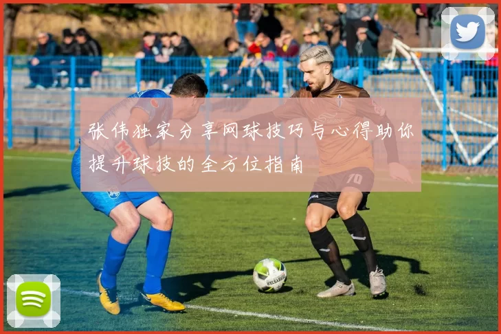张伟独家分享网球技巧与心得助你提升球技的全方位指南