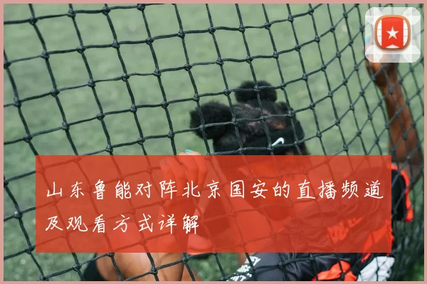 山东鲁能对阵北京国安的直播频道及观看方式详解