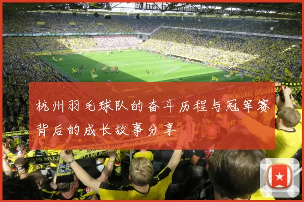 杭州羽毛球队的奋斗历程与冠军赛背后的成长故事分享